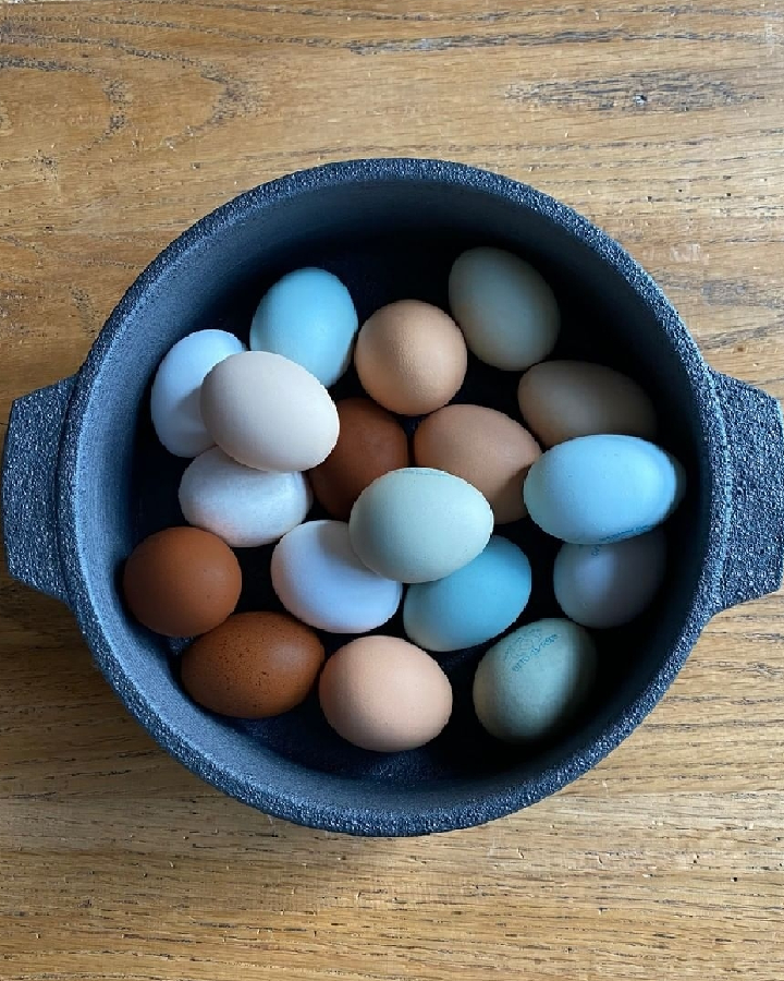 The Garda Egg Pot