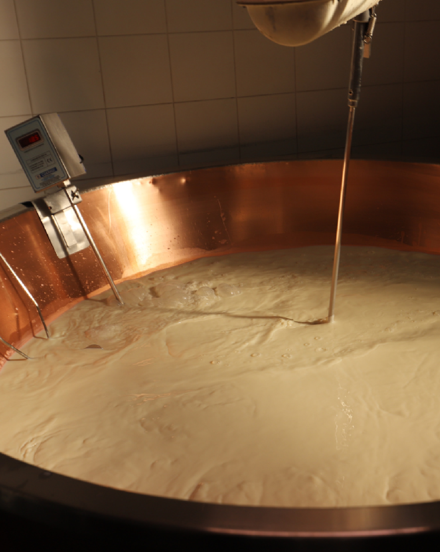 Formaggio Valserena 4