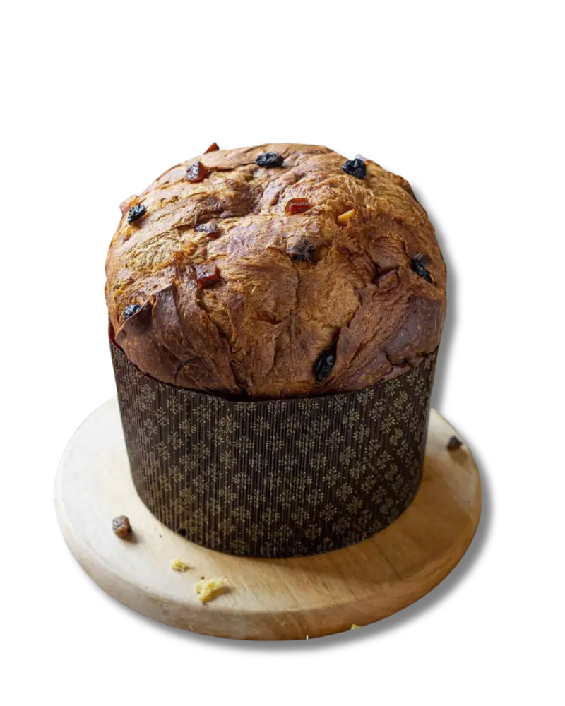 In Fermentum Panettone Tradizionale 2
