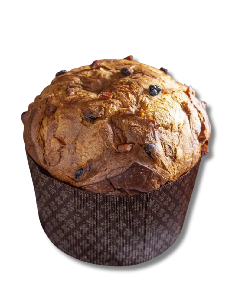 In Fermentum Panettone Tradizionale