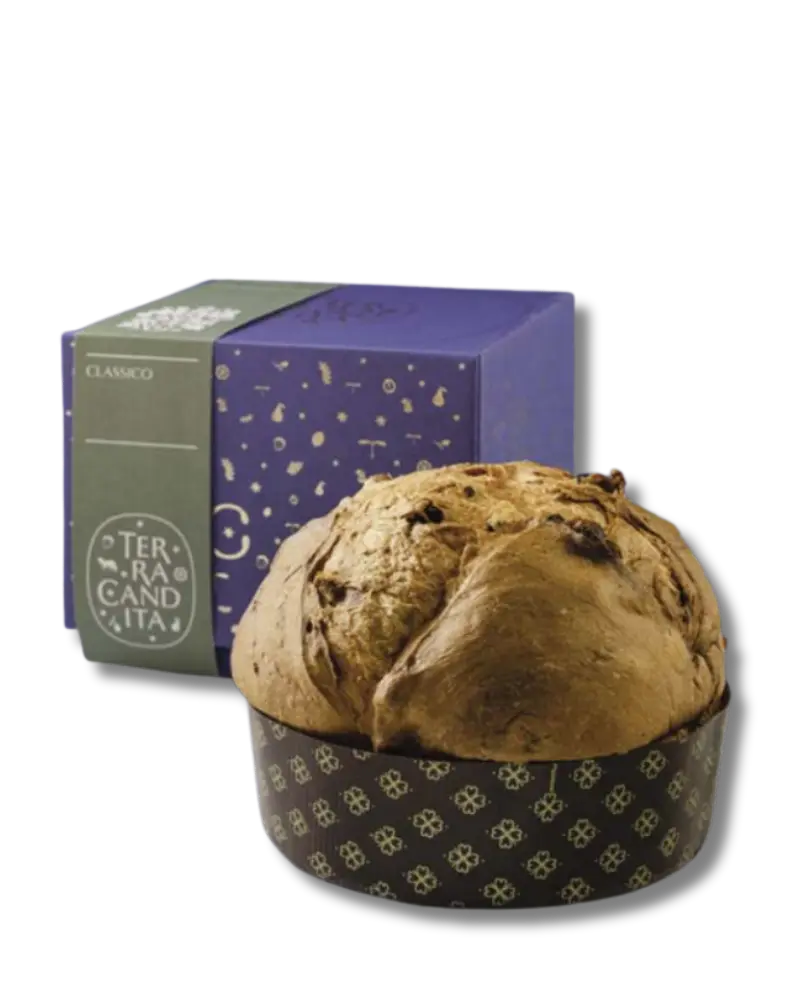 Terra candita 01