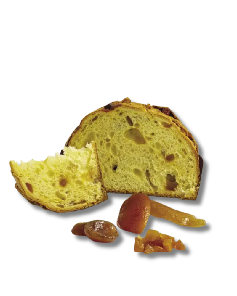 Terra candita 04